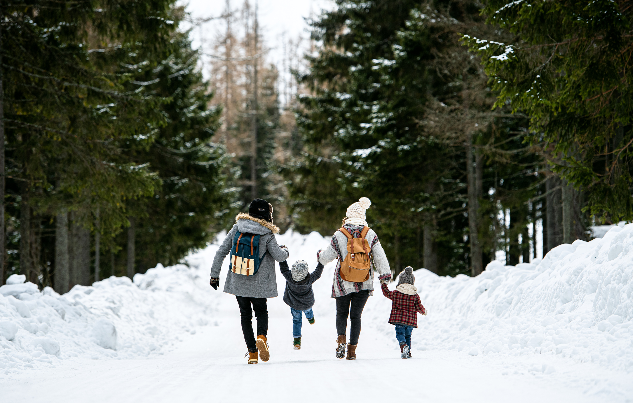 Family of four holding hands in snowy nature setting and walking